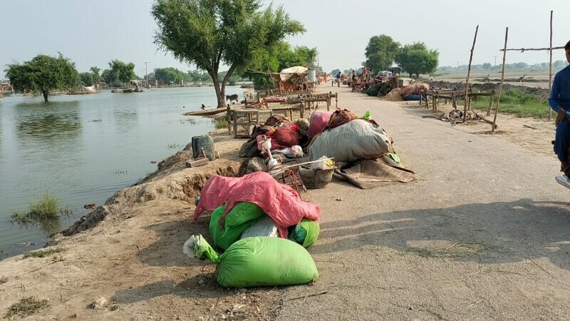 Severe Flooding in Interior Sindh Leaves Residents Stranded and in Desperate Need of Aid
