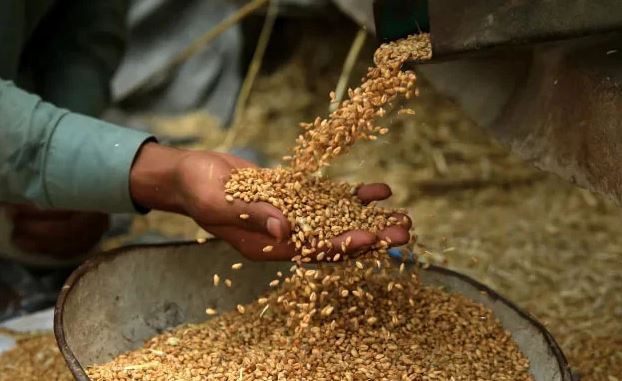 ECC Approves Increased Wheat Procurement Target and Other Key Economic Measures