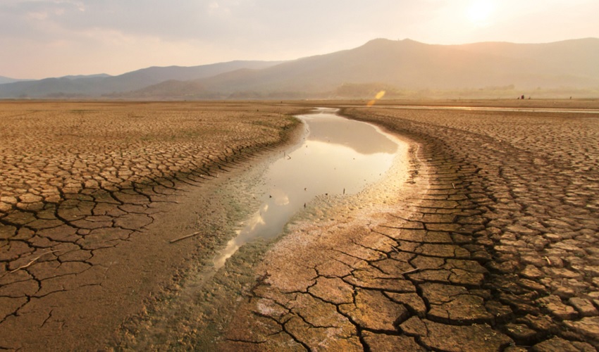 Cholistan Desert Faces Drought as Water Scarcity Threatens Lives and Livestock