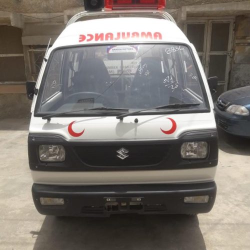 Gunmen Attack Two Brothers in Pirjo Village, Leading to Fatalities and Fire Incident
