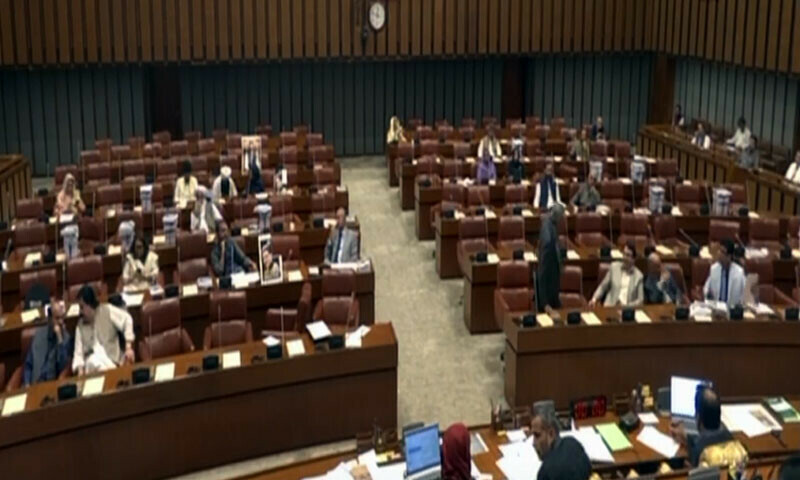 Senate Budget Session Sees Low Turnout, Senators S