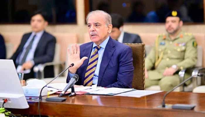 PM Shehbaz Refuses IMF's Agriculture Tax Demand, Condemns Israeli Attack on Iran