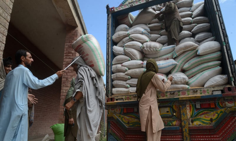 Punjab Clarifies Wheat Transportation Policy Amid 