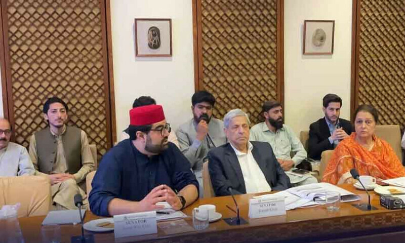 Heated Clash in Senate Committee as PTA Chairman M