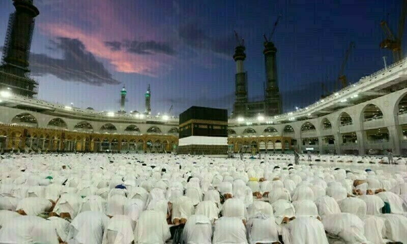 Saudi Health Ministry Launches Multilingual Haj He