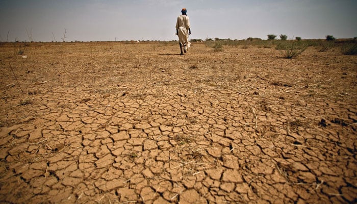 Drought Alert Issued as Rainfall Drops Significantly Below Normal
