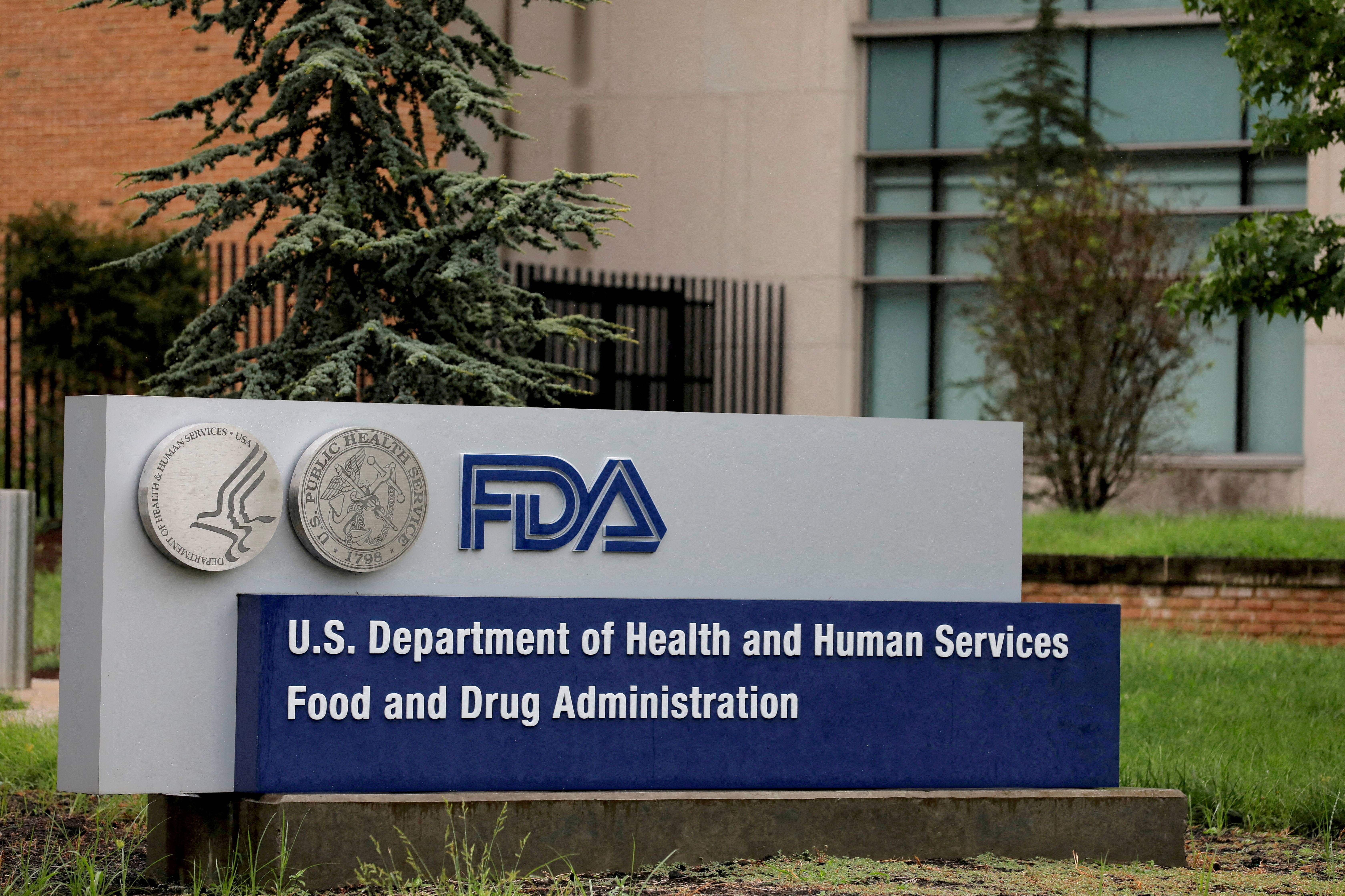 FDA Approves Zevaskyn for Epidermolysis Bullosa, Shares Surge 13%