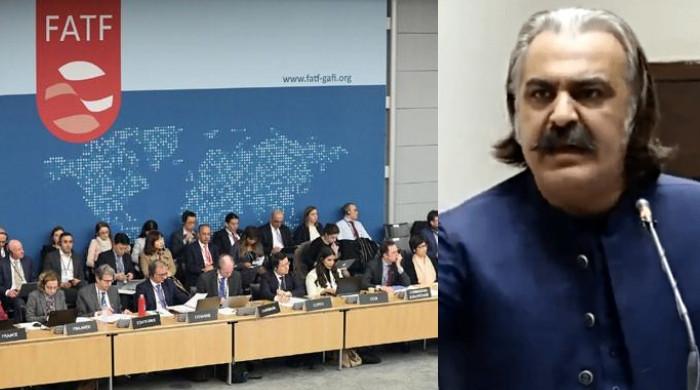 India Submits Gandapur’s Statement to FATF, Seek